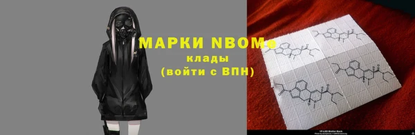 прущие грибы Семикаракорск