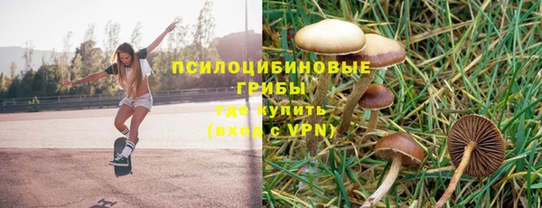дурь Володарск