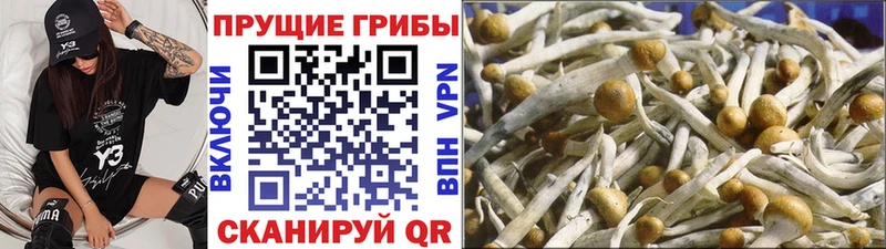 Галлюциногенные грибы Magic Shrooms  Игарка 